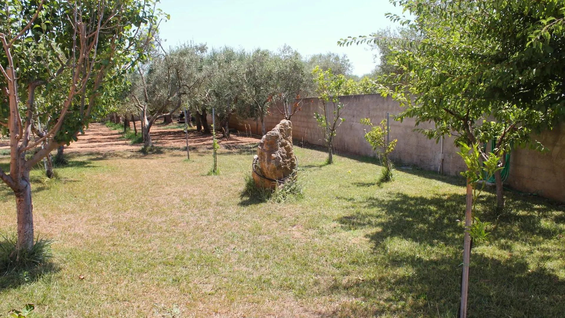Casa vacanze Villa La Rosa Dei Venti Alghero